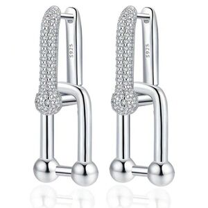 Elegant Silver925  Earrings